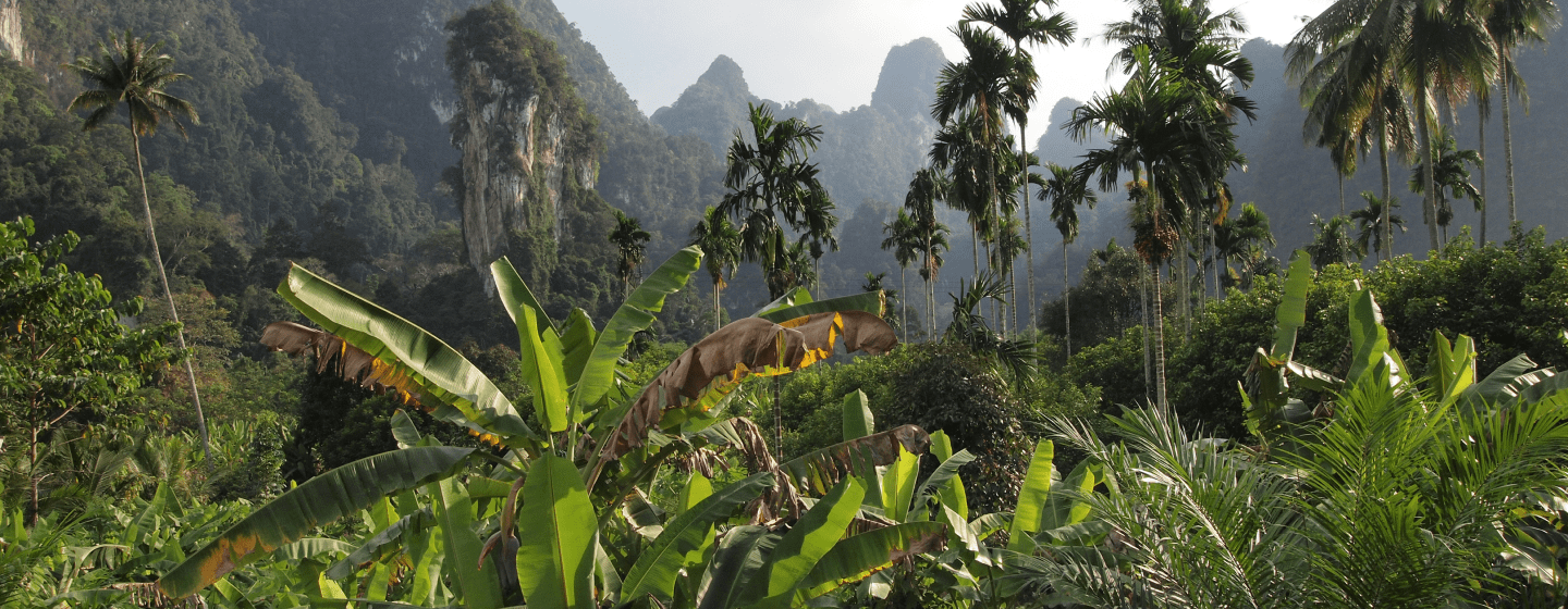 Krabi